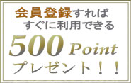 会員登録すればすぐに利用できる500pointプレゼント